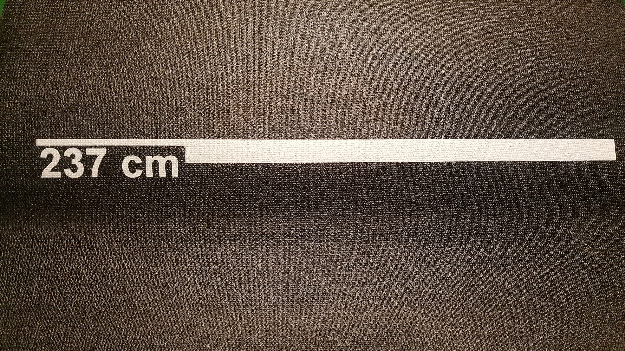 Roleo Dartmatte – Bild 4