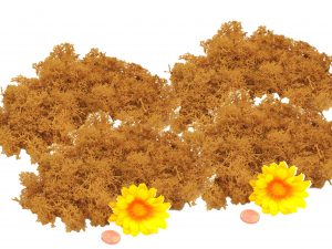 Muwse Islandmoos Melonengelb 100 g händisch gerupft Osternest Weihnachtskrippe