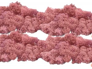 Muwse Islandmoos Rosa 100 g händisch gerupft Osternest Weihnachtskrippe