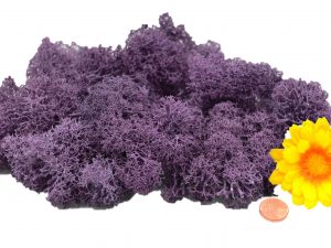 Muwse Islandmoos Flieder 25 g händisch gerupft Osternest Weihnachtskrippe