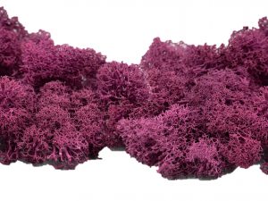 Muwse Islandmoos Veilchen Pink 50 g händisch gerupft Osternest Weihnachtskrippe