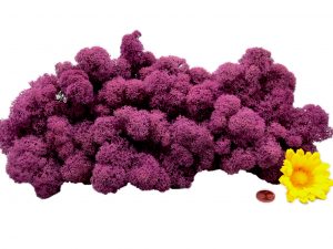 Muwse Islandmoos Viola 100 g Maßstab Spur 1 Modellbau