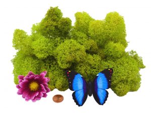 Muwse Islandmoos Frühlingsgrün 25 g Maßstab Spur 1 Modellbau