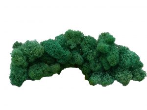 Muwse Islandmoos Kieferngrün 50 g Maßstab Spur 1 Modellbau