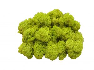 Muwse Islandmoos Frühlingsgrün 50 g Maßstab Spur 1 Modellbau