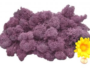 Muwse Islandmoos Flieder 50 g Maßstab Spur 1 Modellbau