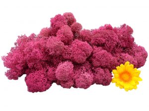 Muwse Islandmoos Veilchen Pink 50 g Maßstab Spur 1 Modellbau