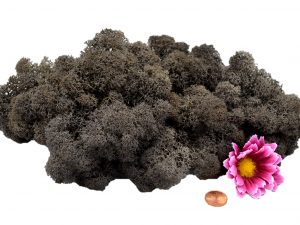 Muwse Islandmoos Dunkelgrau 50 g Maßstab Spur 1 Modellbau