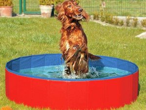 Karlie DOGGY POOL der Swimmingpool für Hunde - Rot-Blau - 80 cm