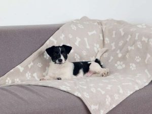 Trixie Decke Kenny - Beige - 150 × 100 cm