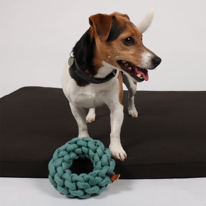 D&D Baumwollring Ben - blau - 19 x 19 x 5cm – Bild 5