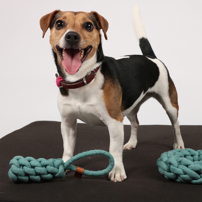 D&D Baumwollkegel Kurt - blau - 22 x 5cm – Bild 5