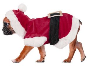 Karlie Flamingo Hundejacke Weihnachtskostüm - 20 cm