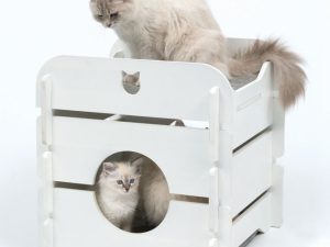 Vesper Katzenhöhle Cottage - Weiß