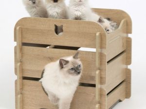 Vesper Katzenhöhle Cottage - Eiche