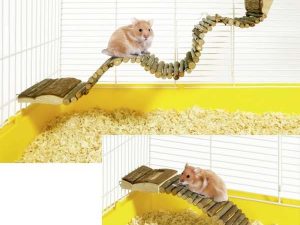 Karlie Hamsterleiter - Klein