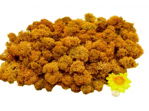 Muwse Islandmoos Melonengelb 100 g Maßstab Spur G Modellbau