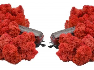 Muwse Islandmoos Mohnrot 100 g Maßstab Spur H0 Modellbau