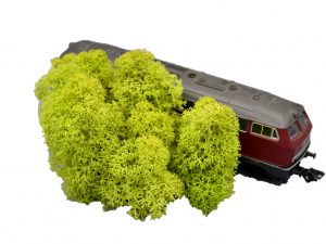 Muwse Islandmoos Frühlingsgrün 10 g Maßstab Spur H0 Modellbau