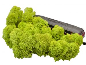 Muwse Islandmoos Frühlingsgrün 25 g Maßstab Spur H0 Modellbau