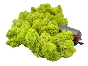 Muwse Islandmoos Frühlingsgrün 50 g Maßstab Spur H0 Modellbau