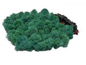 Muwse Islandmoos Kieferngrün 25 g Maßstab Spur N Modellbau