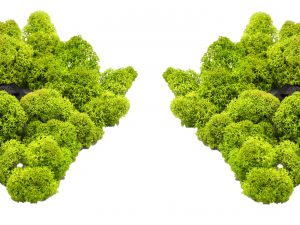 Muwse Islandmoos Frühlingsgrün 50 g Maßstab Spur N Modellbau