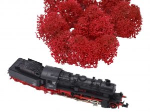 Muwse Islandmoos Mohnrot 5 g Maßstab Spur N Modellbau