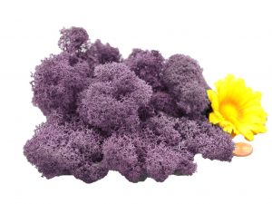 Muwse Islandmoos Flieder 25 g Maßstab Spur 0 Modellbau