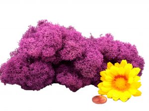 Muwse Islandmoos Viola 25 g Maßstab Spur 0 Modellbau