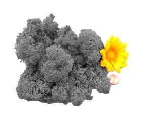 Muwse Islandmoos Titangrau 25 g Maßstab Spur 0 Modellbau