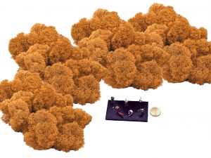 Muwse Islandmoos Melonengelb 100 g Maßstab Spur TT Modellbau