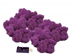 Muwse Islandmoos Viola 100 g Maßstab Spur TT Modellbau