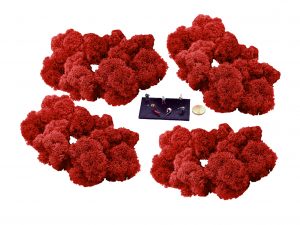 Muwse Islandmoos Mohnrot 100 g Maßstab Spur TT Modellbau