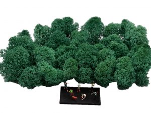 Muwse Islandmoos Kieferngrün 25 g Maßstab Spur TT Modellbau
