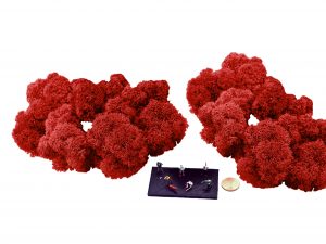 Muwse Islandmoos Mohnrot 50 g Maßstab Spur TT Modellbau