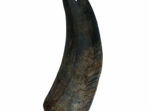 Viking half Horn - M