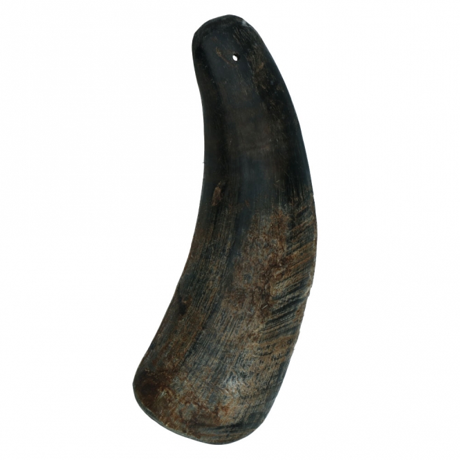 Viking half Horn - M – Bild 5